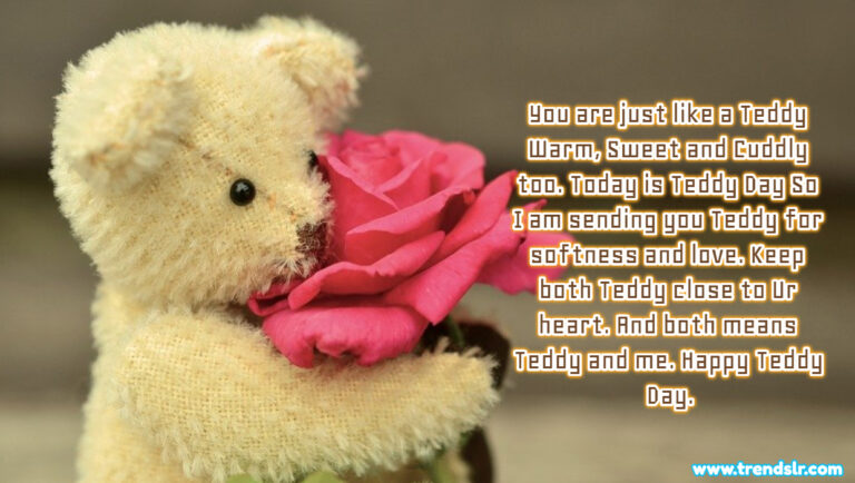 teddy day gift for boyfriend