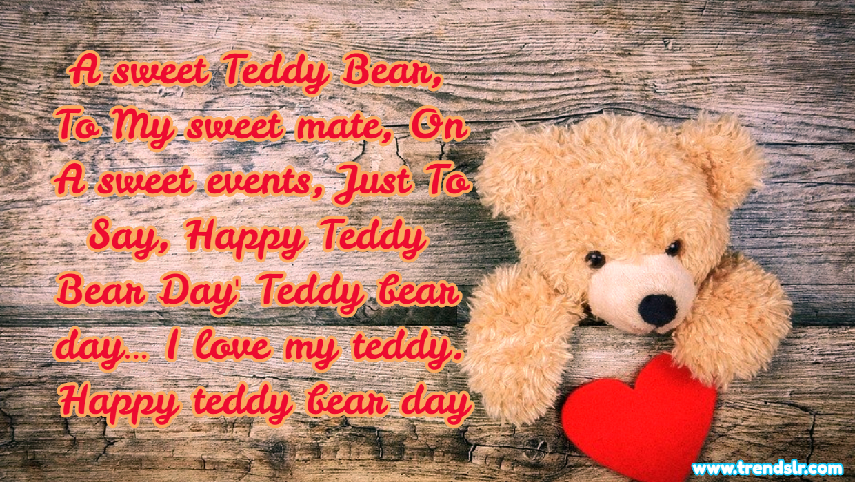 teddy day gift